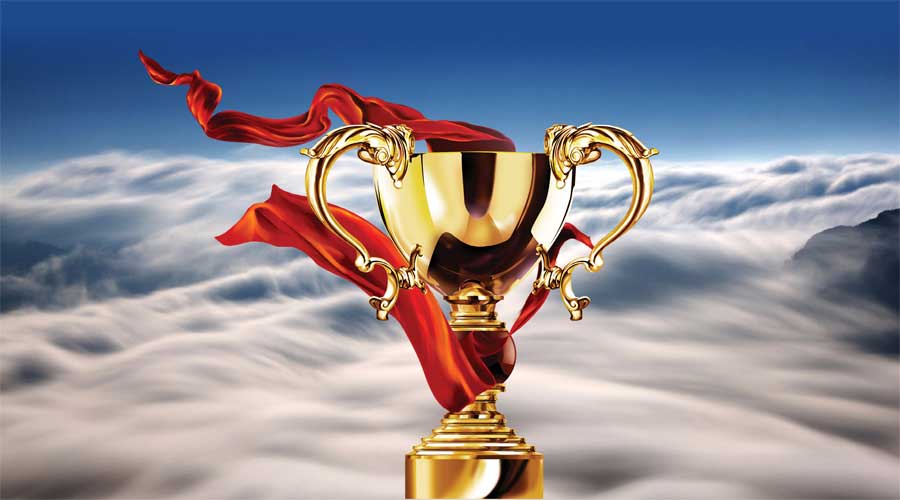 今年会霸气摘星：智能家居领军品牌大雁奖！